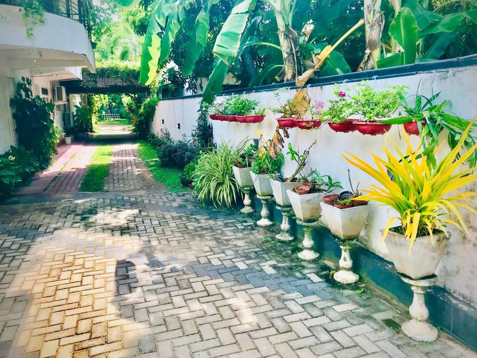 Pinidiya Resort Anuradhapura Zewnętrze zdjęcie