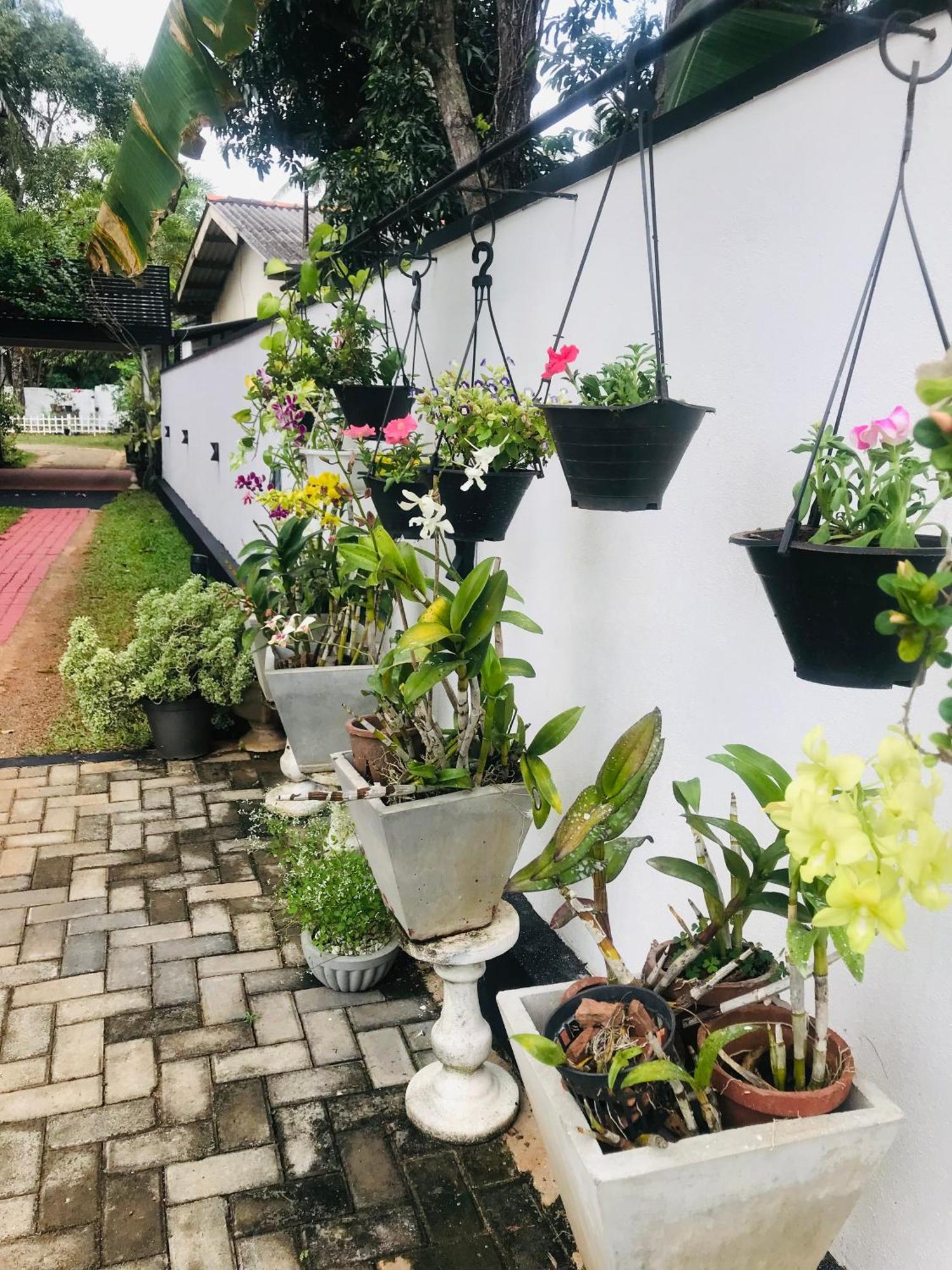 Pinidiya Resort Anuradhapura Zewnętrze zdjęcie