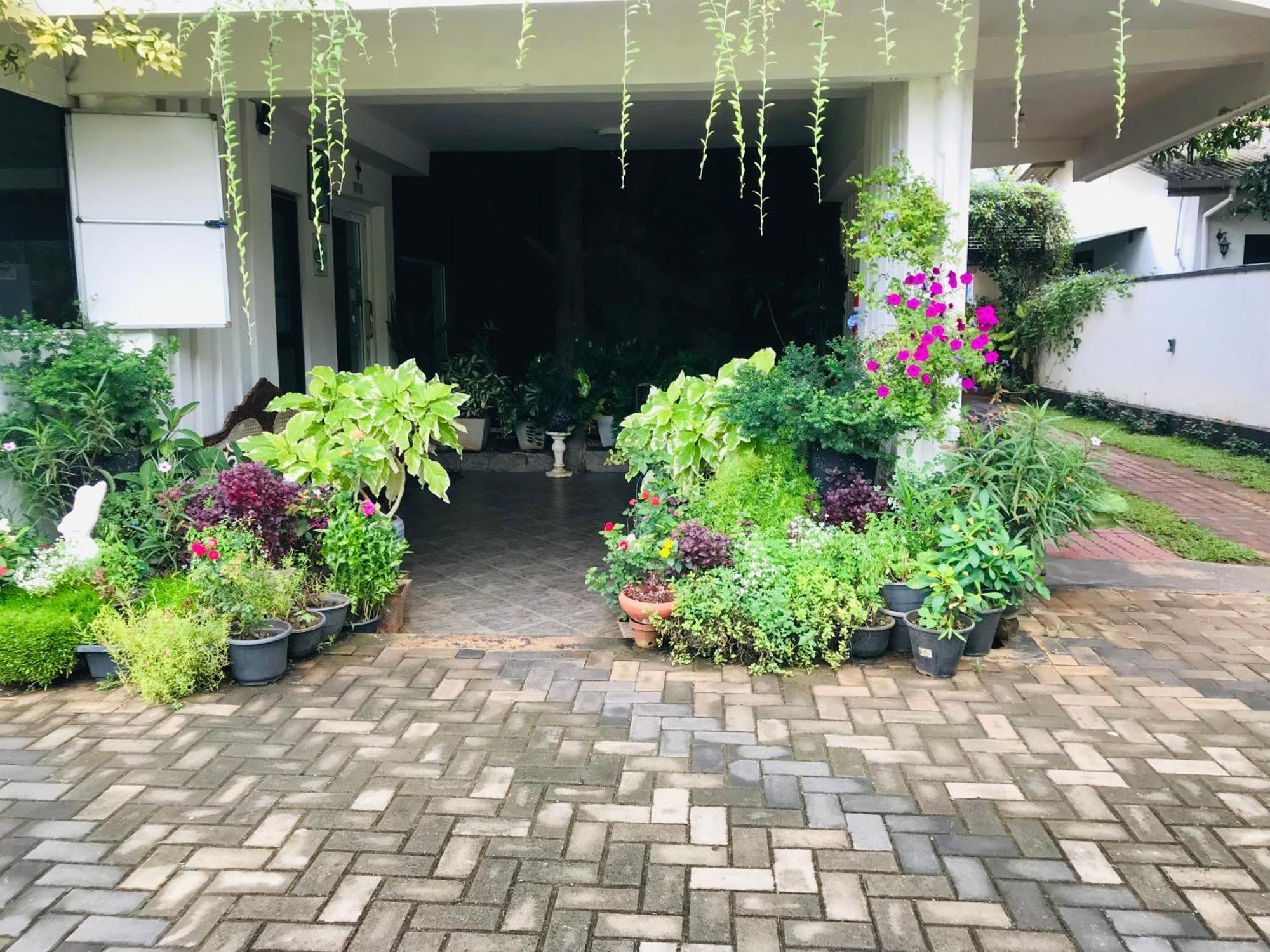 Pinidiya Resort Anuradhapura Zewnętrze zdjęcie