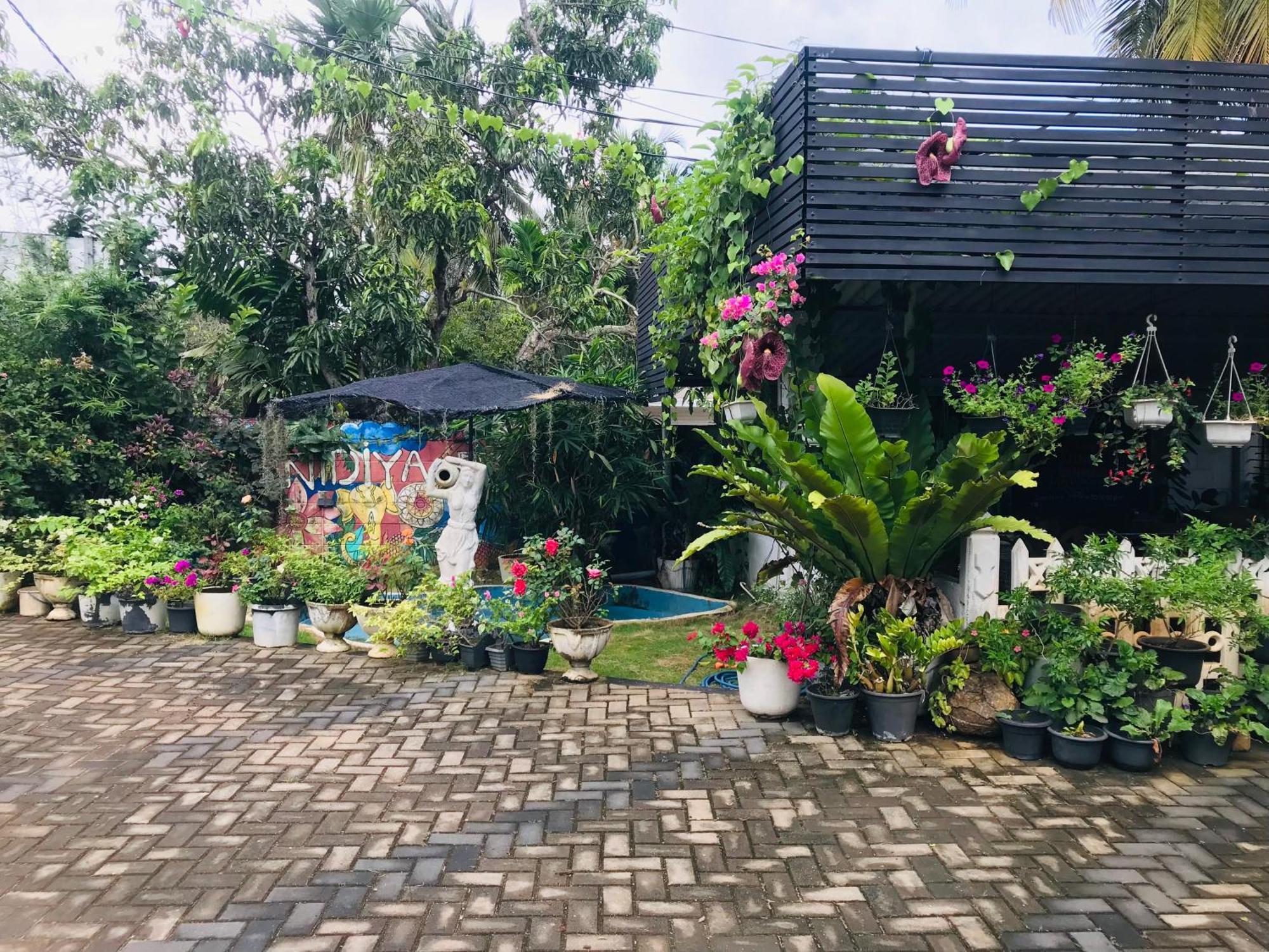 Pinidiya Resort Anuradhapura Zewnętrze zdjęcie