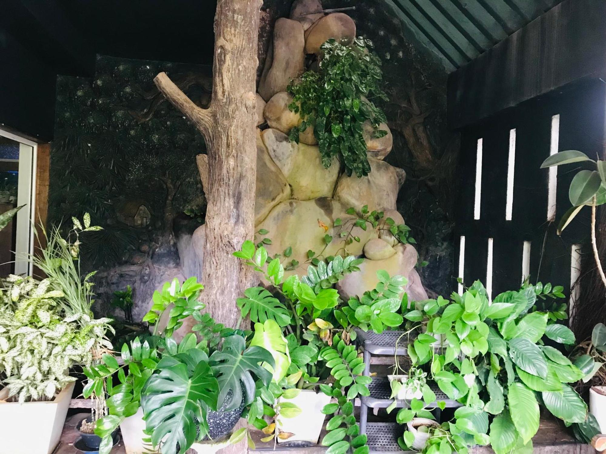Pinidiya Resort Anuradhapura Zewnętrze zdjęcie
